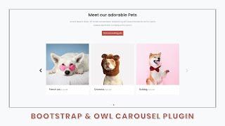 Design an Image Media Slider Using Bootstrap 5 & Owl Carousel Plugin