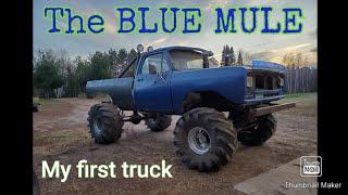 The Blue Mule