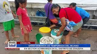 GRAN DEMANDA DE MIJANO DE MOJARRAS EN DISTRITO DE CHAZUTA