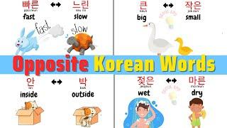 Korean Opposite Words |  반대들