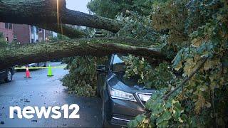 Large tree falls, blocks part of Claflin Avenue in Kingsbridge Heights | News 12