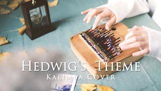 Hedwig's Theme (Harry Potter Theme) - Kalimba Cover by April Yang