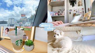 a week in my life   home vlog, job hunting, doggy birthday 