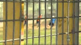 NT prison overcrowding out of control