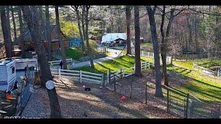 Goldy'sYard. Carly & her Mom Fix Goats' Fence&Round Up The Escapees 