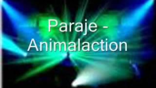 Paraje - Animalaction