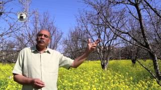 Spring ( Pastor Khosrow Khodadadi ) بهار آمد