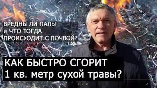 Проф  Белопухов С Л   КАК БЫСТРО ГОРИТ 1 КВ М  СУХОЙ ТРАВЫ  Опасно  НЕ ПОВТОРЯТЬ