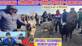 ПРОВО ТОПИЛДИ БОЗОР.ДАН.!?| ХОРАЗМ  КЎШЕЎПИР КЎЙ КЎЧКОР БОЗОРИ НАРХЛАР  КЎРИНГ САВДО КЎП 26-декабря