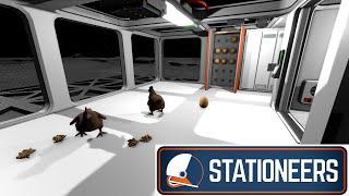 Stationeers | Chicken & Egg Guide (2024)