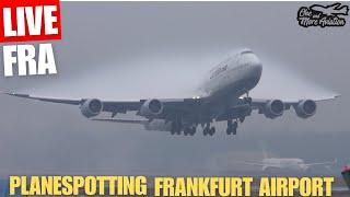 Live Planespotting Frankfurt Airport Waterspray Action on Runway