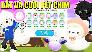 Play Together | MÌNH PHÁT HIỆN KHU VỰC BÁN PÉT CHIM VÀ CƯỠI PÉT CHIM MỚI SIÊU ĐẸP