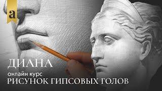 Голова Дианы - Рисунок гипсовых голов | Художник Денис Чернов ~ Онлайн-школа Akademika