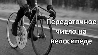 Передаточное число на велосипеде (соотношение звезд на Bmx и Singlespeed)