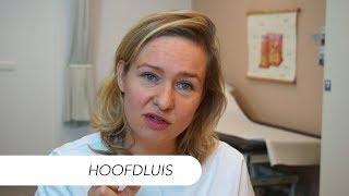 Hoofdluis | Drs Leenarts Dermatoloog