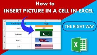 How to Insert and Filter Picture in Excel