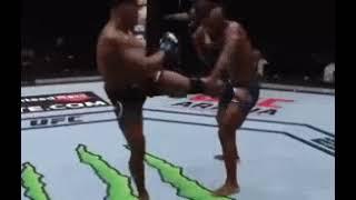 ufc joaquin buckley kick ko2020mma fight