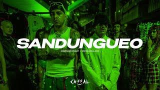 Ryan Castro X Feid Type Beat | Instrumental Reggaeton Beat 2024 | Reggaeton Type Beat | "SANDUNGUEO"