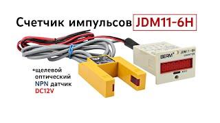 Счетчик импульсов JDM11-6H