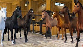 Buying NEW Belgian Warmblood Horses in Star Stable Online