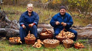 Record Find of Mushrooms in the Forest !!!  Happy Life of an Elderly Couple