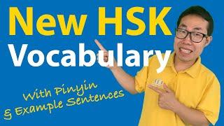 The NEW HSK 1 Vocabulary ️ [500 WORDS] Pinyin & Example Sentences