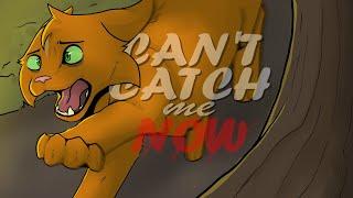 Can't Catch Me Now ━ a firestar and scourge pmv.