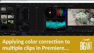 Applying color correction to multiple clips in Adobe Premiere