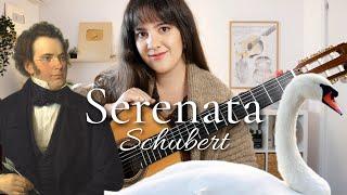 Serenade by Schubert SWAN SONG for Guitar D. 957