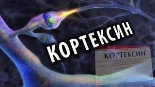 Кортексин: Ноотроп из Мозга Животных