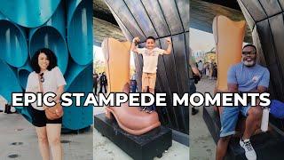 2024's MOST EPIC STAMPEDE Moments Caught on Camera