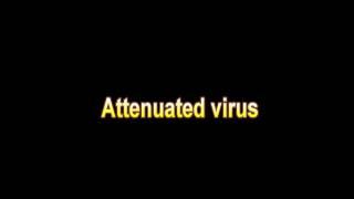 What Is The Definition Of Attenuated virus Medical Dictionary Free Online