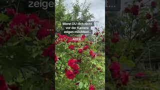 #zuverdienst#tiktok#eltern#money#geld#info#viralvideo #viral#viraltiktok #info#vonüberallausarbeiten