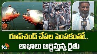 Roopchand Fish Farming | రూప్‎చంద్ చేపల పెంపకంతో.. లాభాలు అర్జిస్తున్న రైతు | Matti Manishi | 10TV