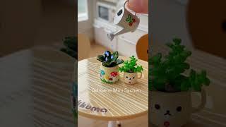 Re-Ment Cutest Mini Magic Plant🪴 #rement #miniature #minitoys #minitoy #rilakkuma #miniatures