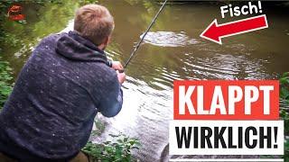 Vor der️ KATASTROPHE ️ erlebten GREWALD diese Überraschung  - unterwegs am Fluss