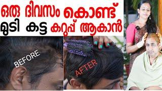 നരച്ച മുടി ഒറ്റ useil കറുപ്പിച്ചെടുക്കാം/homemade instant hair dye