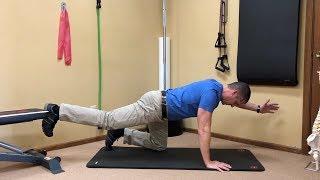 BIRD DOG EXERCISES | Fix Flexion Intolerance - Pain Bending Over/Down