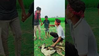 বাজার গরম গান।  আধা কেজি মাংস। Bazar Gurom gan #shurts #fannyvideo #youtubeshort #djnoyncobra