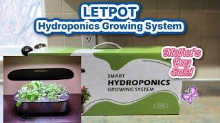 LETPOT LPH-SE Hydroponic System!  Mother's Day Sale!  Unboxing and Set Up - Indoor Gardening
