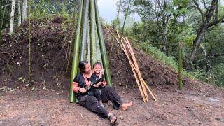 How to harvest Cucumbers and Go to the market to sell - harvesting and cutting bamboo Daily life