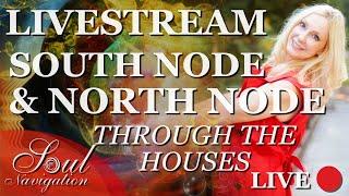 South Node & North Node through the houses! ALL 12 SIGNS!  What does the Nodes mean in Astrology! SN