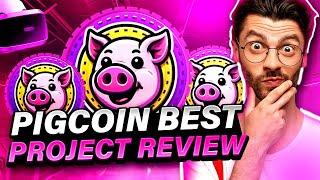 PIGCOIN PROJECT REVIEW | THE BEST DIGITAL CURRENCY THIS YEAR WILL EASILY ACHIEVE MORE THAN 600 TIMES