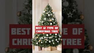 Best 12 types of Christmas tree 