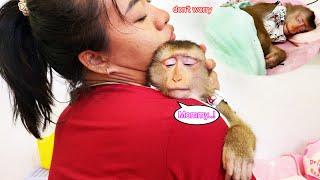 What's wrong, Lyly? Monkey Lyly was startled from her dream and ran to hug her mother.