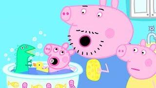 ペッパピッグ | Peppa Pig Japanese | いとこのクロエ | 子供向けアニメ