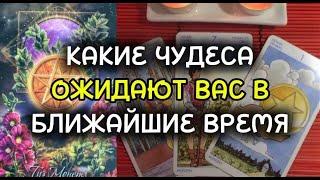 КАКИЕ ЧУДЕСА ОЖИДАЮТ ВАС В БЛИЖАЙШИЕ ВРЕМЯ