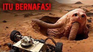 Oksigen di Mars Naik dan Turun Seperti Sesuatu yang Hidup