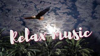 Relax music - Very beautiful music - Music for sleep