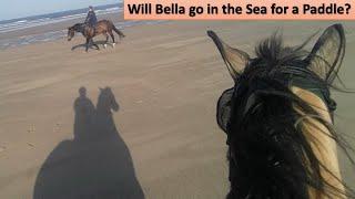 Bella's first time on a beach will she be brave enough, to put a Hoof in the Sea?  ️